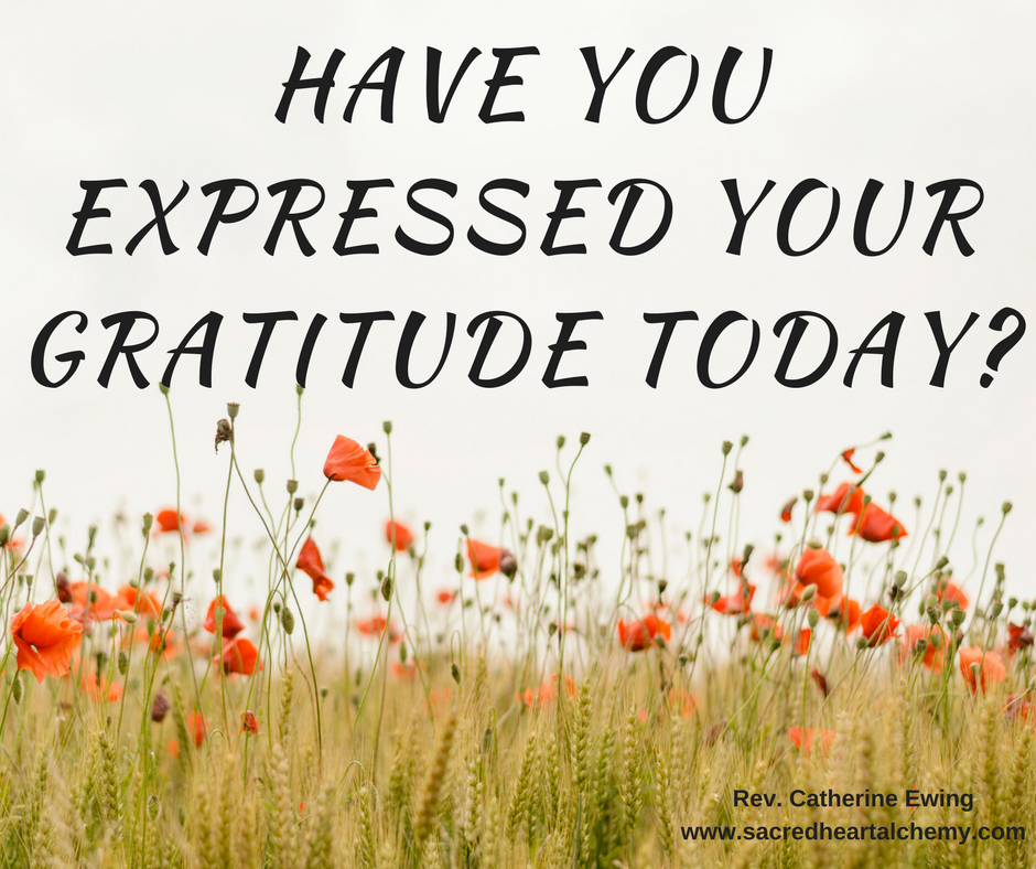 The Gifts in Cultivating Gratitude